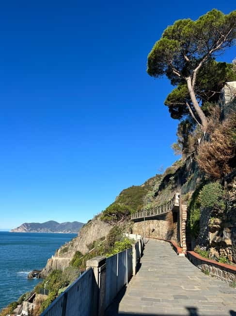 Florence/Bologna: Cinque Terre&Pisa Private Tour w/Transfer - Key Points / Takeaways