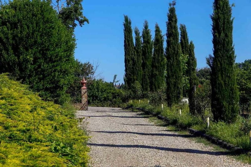 Florence by E-Bike: Hidden Hills & Local Thrills - Discover Florence Beyond the Crowds with an E-Bike Adventure