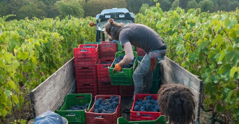 Florence: Chianti Classico Wine Region PRIVATE Tasting Trip - Final Thoughts