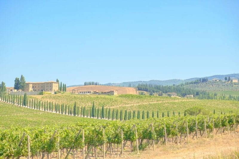 Florence: Chianti E-Bike Tour with Lunch & Two Wine Tastings - Exploring the Details of the Chianti E-Bike Experience