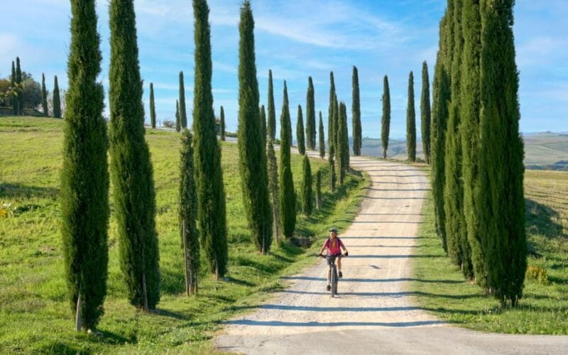 Florence: Chianti E-Bike Tour with Lunch & Two Wine Tastings - Price and Logistics: Getting the Most for Your Money