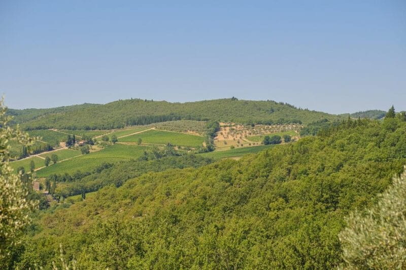 Florence: Chianti E-Bike Tour with Lunch & Two Wine Tastings - FAQ