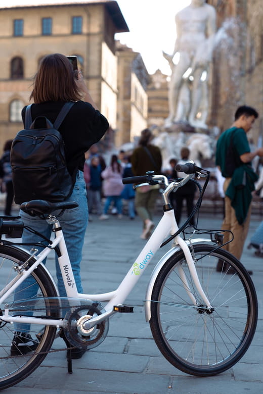 Florence: Chianti E-Bike Tour with Wine Tasting and Lunch - Who Will Love This Tour?