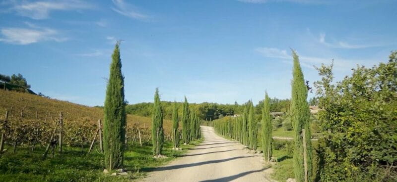 Florence: Chianti, Montalcino & Montepulciano Private Tour - Florence: Chianti, Montalcino & Montepulciano Private Tour – An In-Depth Look