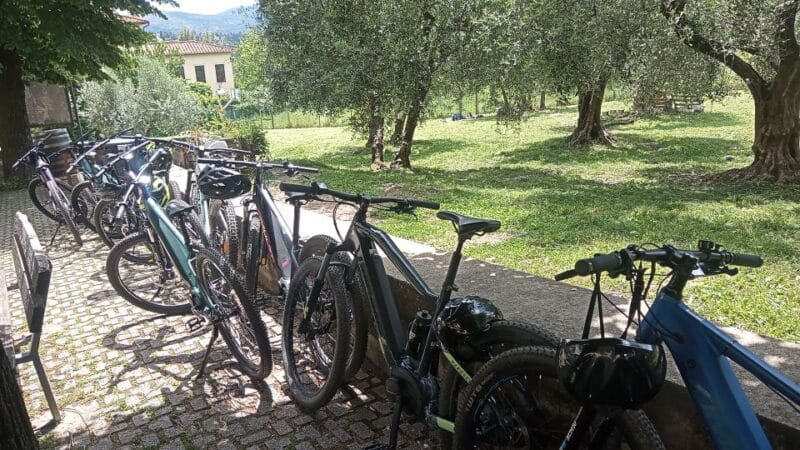 Florence: Country Ebike tour + Wine tasting in organic farm - Who Will Appreciate This Tour Most?