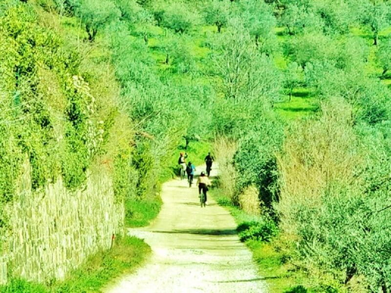 Florence: Country Ebike tour + Wine tasting in organic farm - Final Thoughts