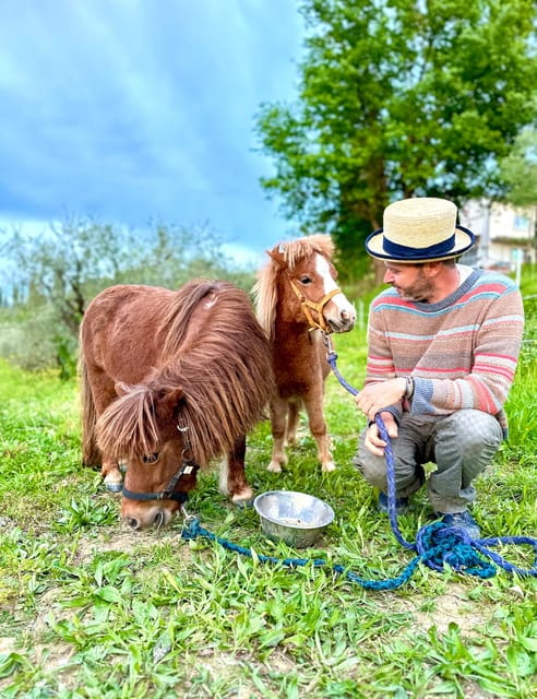 Florence: Countryside Tour with Wine Tasting & Pasta Class - Price and Overall Value