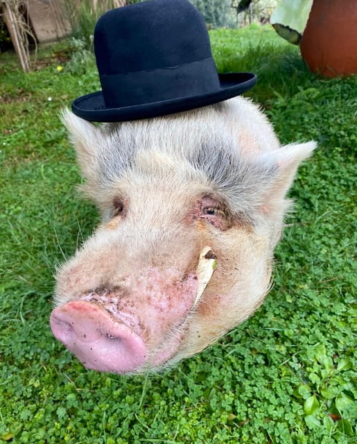 Florence: Countryside Tour with Wine Tasting & Pasta Class - Final thoughts