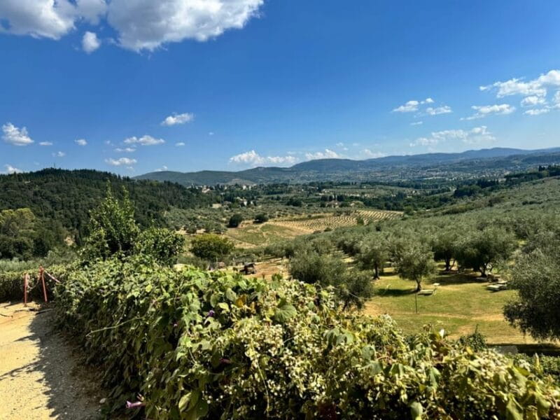 Florence: Fiesole E-Bike Tour with Olive Oil Tasting - Final Thoughts