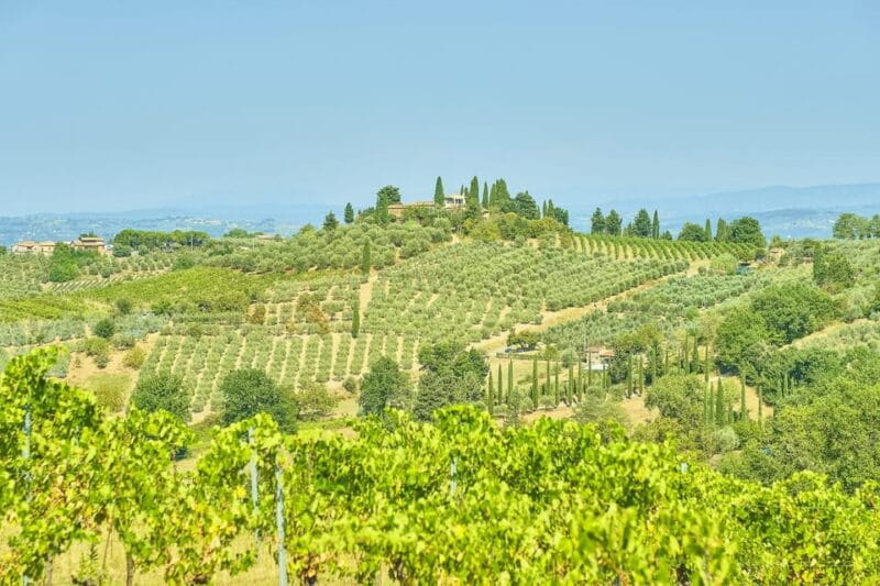 Florence: Fiesole E-Bike Tour with Olive Oil Tasting - FAQ