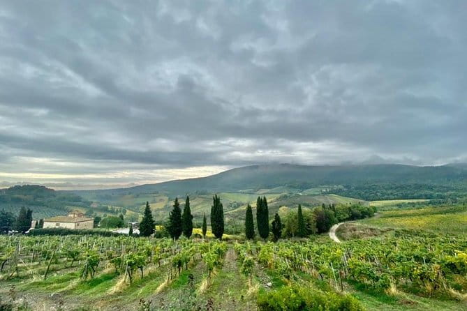 Florence Highlights from Livorno Port - Practical Tips Before You Go