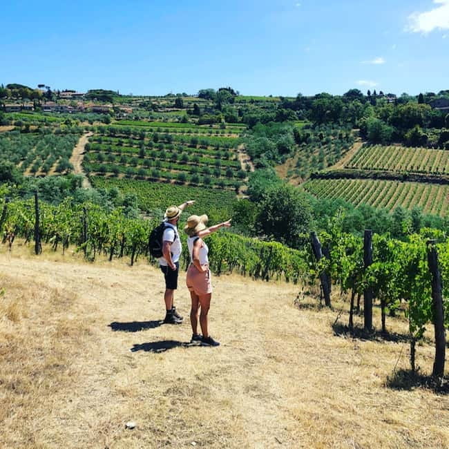 Florence: Hiking Tuscany & Chianti wine 3 wineries and lunch - Key points / Takeaways