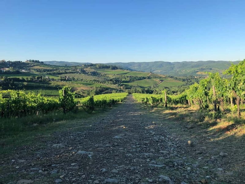 Florence: Hiking Tuscany & Chianti wine 3 wineries and lunch - Who Will Love This Tour?