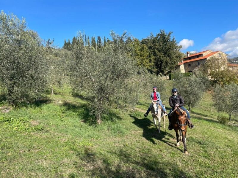 Florence: Horse ride 3h and Wine Tasting&Lunch at a castle - Practical Tips for Travelers