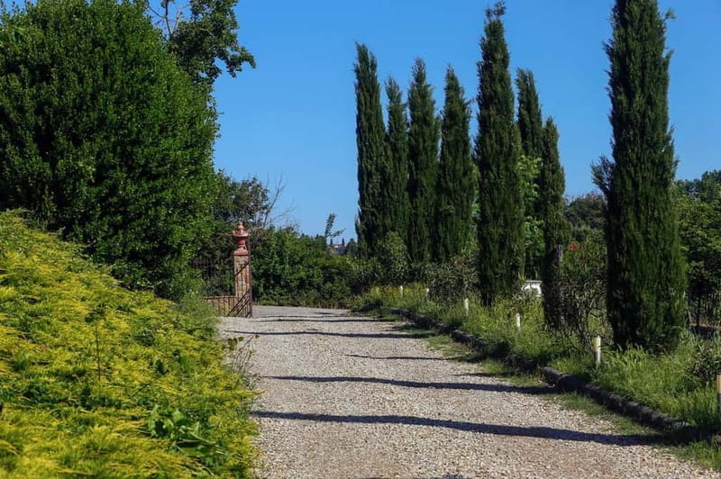 Florence: Horse Ride & Chianti Farm Meal - Key Points & Takeaways