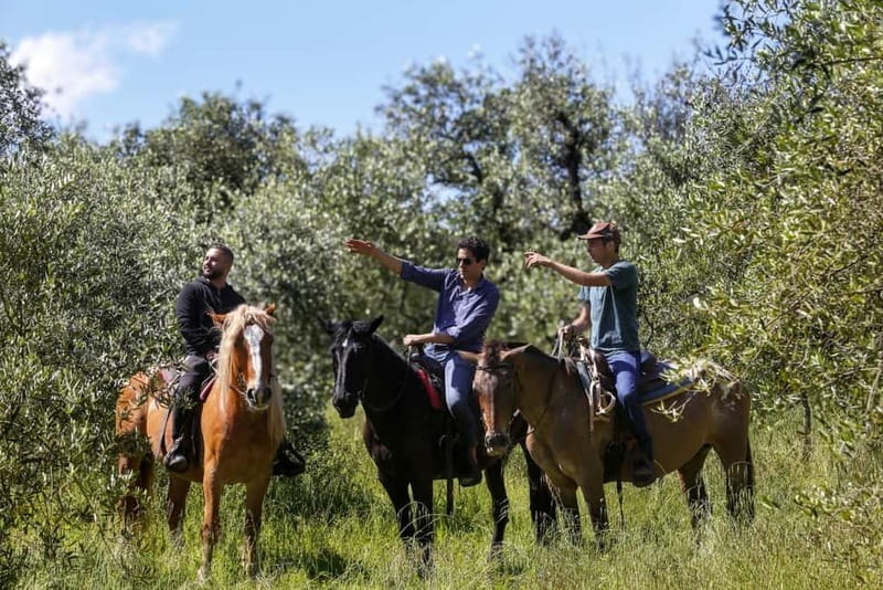 Florence: Horse Ride & Chianti Farm Meal - Exploring Tuscany on Horseback: A Genuine Connection to the Land