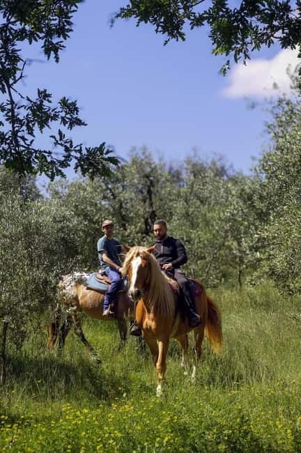 Florence: Horse Ride & Chianti Farm Meal - The Guide and the Experience: A Personal Touch