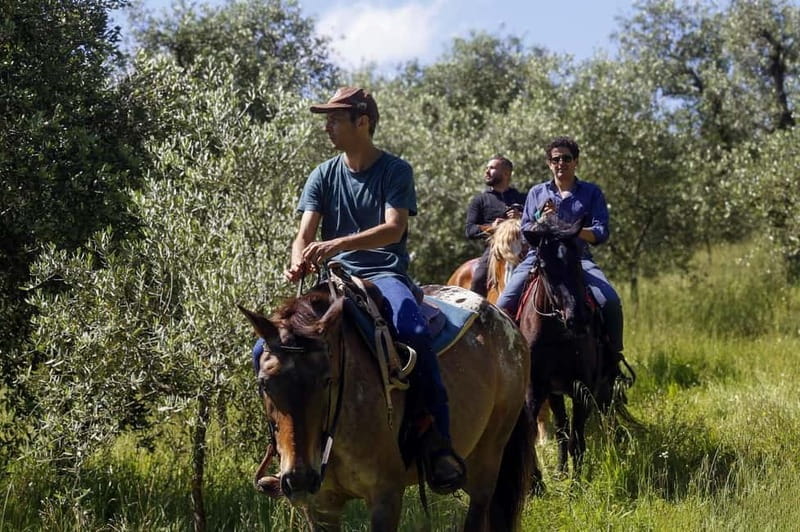 Florence: Horse Ride & Chianti Farm Meal - Frequently Asked Questions