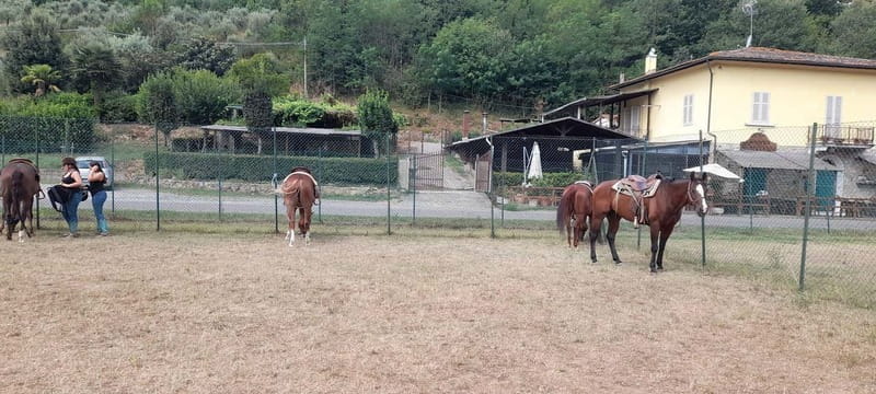 Florence - Horseback riding day trip in the Chianti hills - Practical Details and Logistics