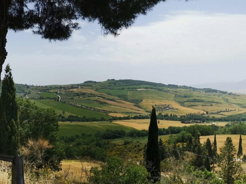 Florence: Montepulciano, Pienza, & Montalcino Private Trip - Key Points / Takeaways