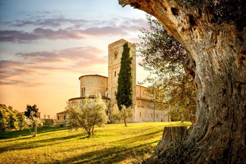 Florence: Monteriggioni & Val d'Orcia Optional Wine Tasting - How the Day Unfolds and Practicalities