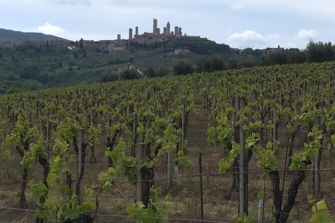 Florence Private Day Trip to Siena and San Gimignano - Practical Tips for Your Day Trip