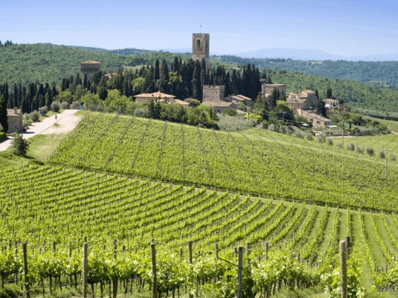 Florence: Tuscan Day trip Siena San Gimignano, Pisa, - The Itinerary: What You’ll See and Do