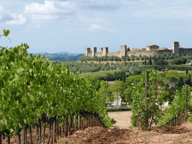 Florence: Tuscan Day trip Siena San Gimignano, Pisa, - Practical Tips for Your Day Trip