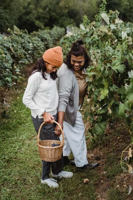 Florence: Tuscan Grape Stomping, Lunch and Wine Tasting - The Art of Winemaking Explored