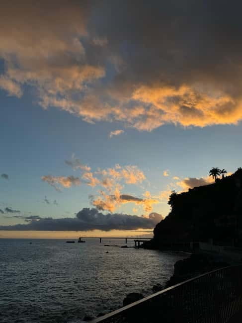 Flowers Of The Forest, Câmara de Lobos 4x4 Jeep Tour - Key Points / Takeaways