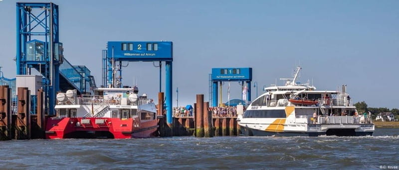 Föhr: Day trip by boat to Hallig Hooge - Who Is This Trip For?