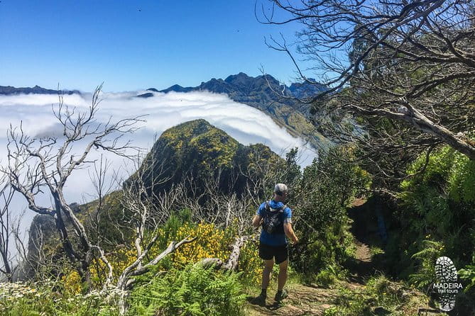 Folhadal Hidden Treasures Running Tour (Moderate) - Exploring Madeira’s Hidden Forests on Foot and Run