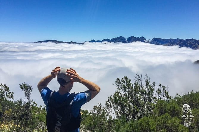 Folhadal Hidden Treasures Running Tour (Moderate) - Final Thoughts