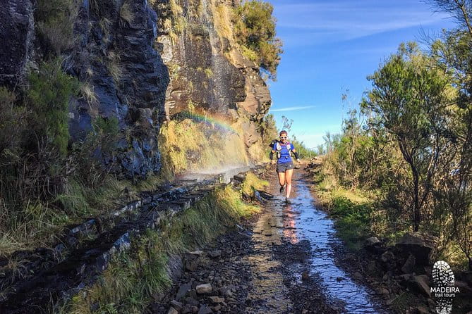 Folhadal Hidden Treasures Running Tour (Moderate) - FAQ