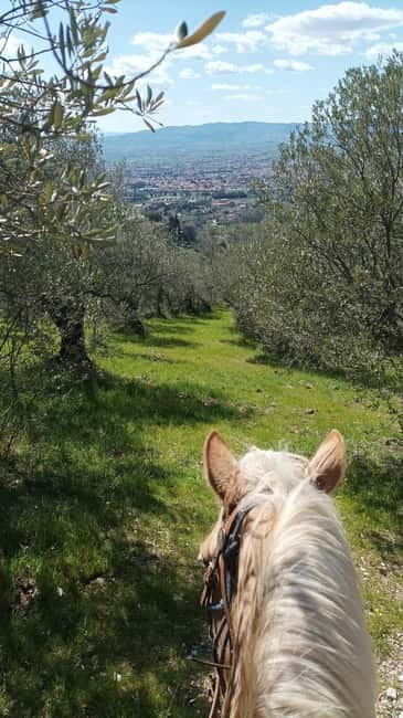 Foligno: horseback riding with aperitif - Key points / Takeaways