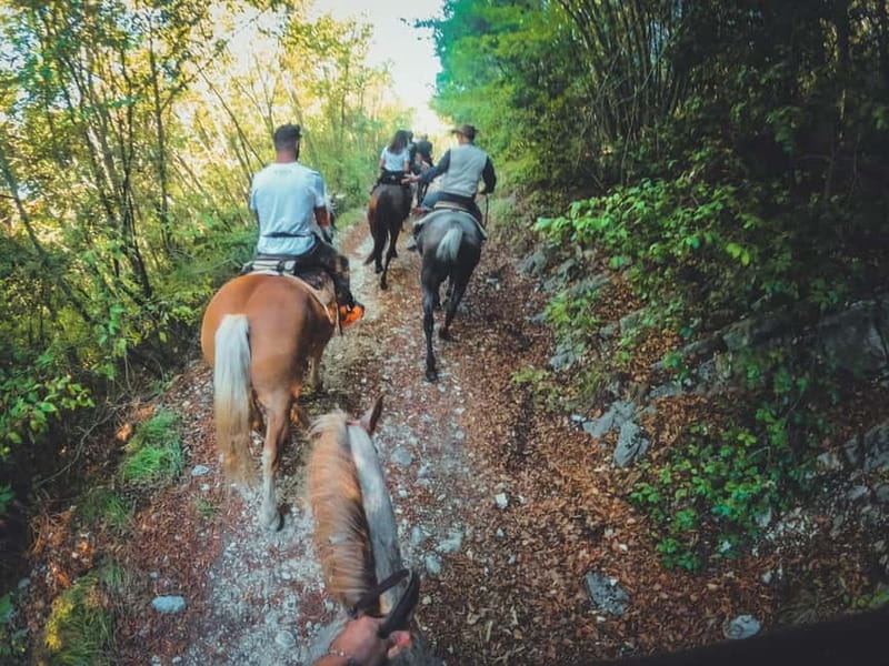 Foligno: horseback riding with aperitif - The Experience: A Step-by-Step Breakdown