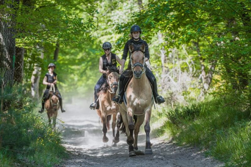 Fontainebleau : Horse-riding, Gastronomy & Château - Final Thoughts