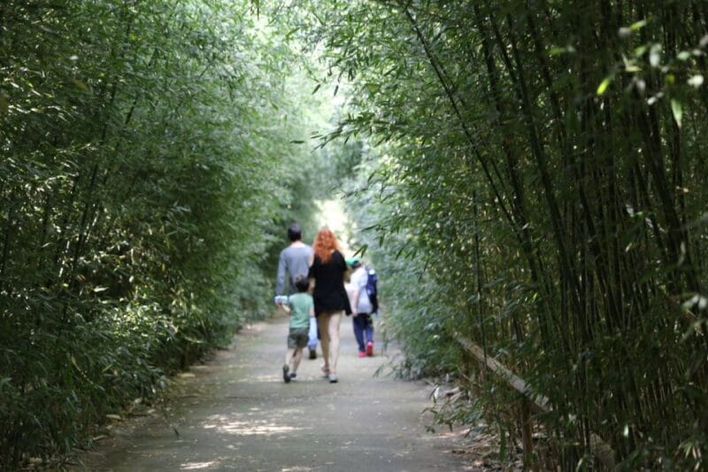 Fontanellato: Labirinto della Masone Full-Day Entry Ticket - Dining and Nearby Attractions