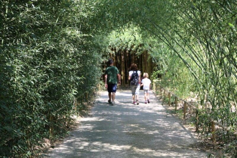 Fontanellato: Labirinto della Masone Full-Day Entry Ticket - FAQ