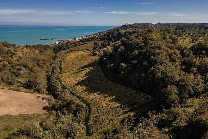 Food and wine tour of San Vito Chietino - Who Will Love This Tour?