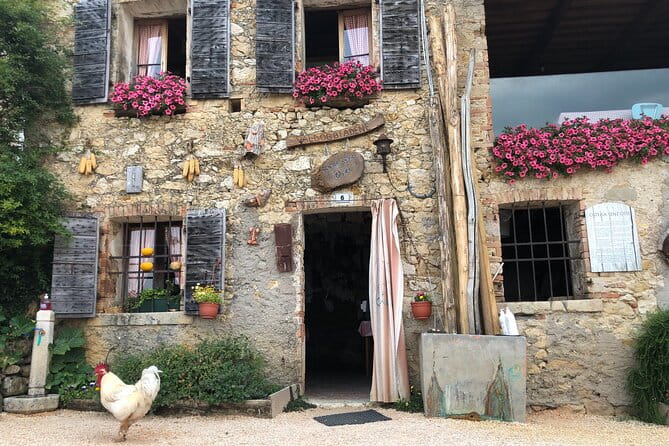 Food and Wine Tour on the Prosecco Hills from Venice - Who is this tour best suited for?