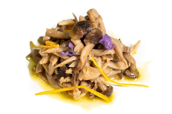 Food experience in mushroom cultivation (tour not included) - Final Thoughts