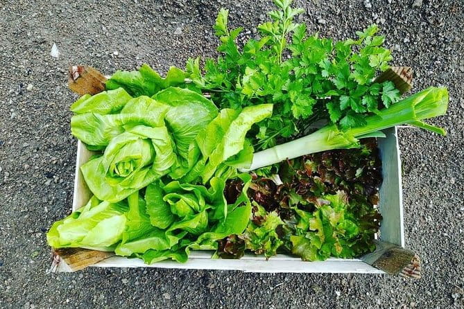 Food Experience with a local in Praiano - Who Will Love This Experience?