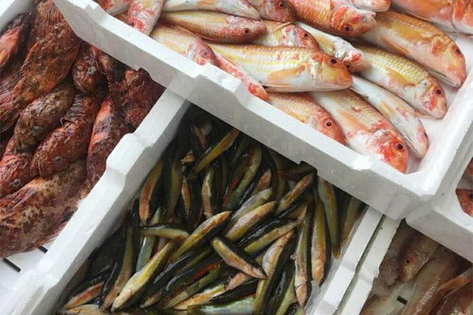 Food Experience with a local in Praiano - Price and Logistics