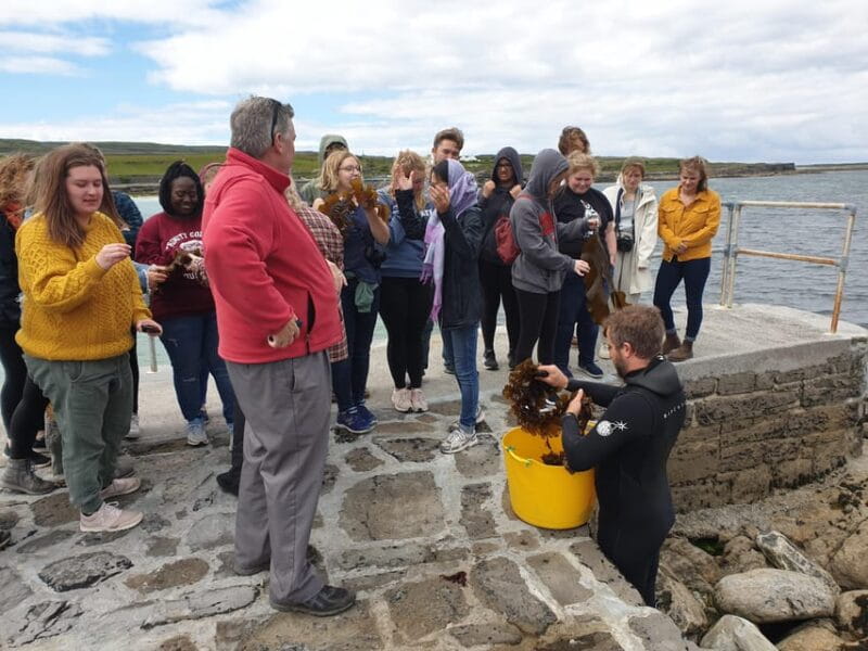 Food tasting & cultural tour Inishmore, Aran Islands.Private - Practical Considerations & Final Thoughts