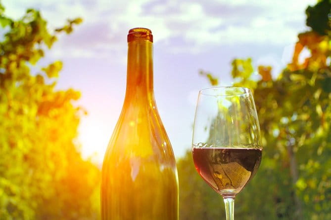 Food Tour Excursion in Provence ! - Final Thoughts: Is It Worth It?