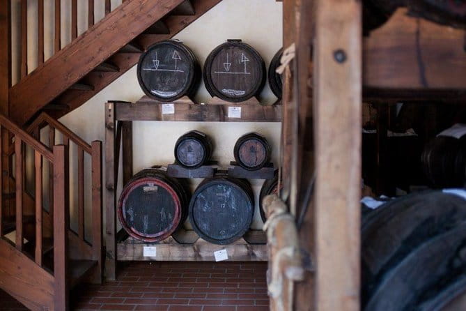 Food Tour: Parmigiano, Balsamic, Red Wine, lunch,transport - Key Points / Takeaways