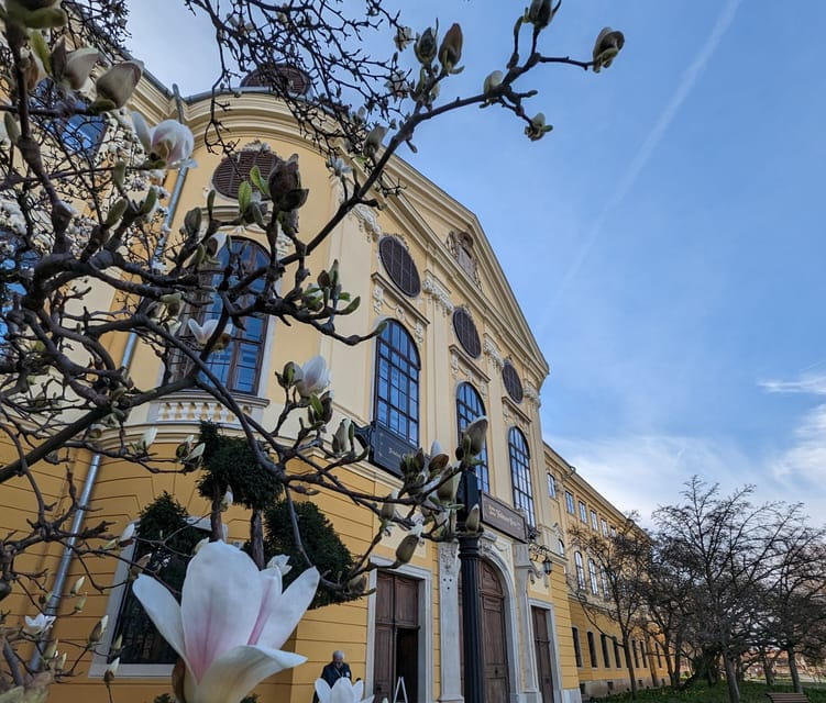 Food, Wine And Sightseeing Tour in Oradea, Romania - In-Depth Look at the Itinerary