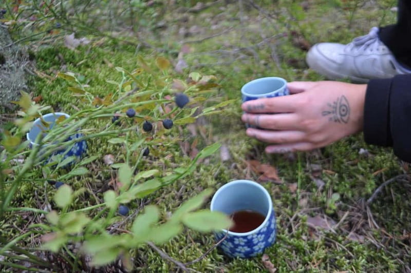 Forest Bathing in Stockholm nature with certified guide - FAQ