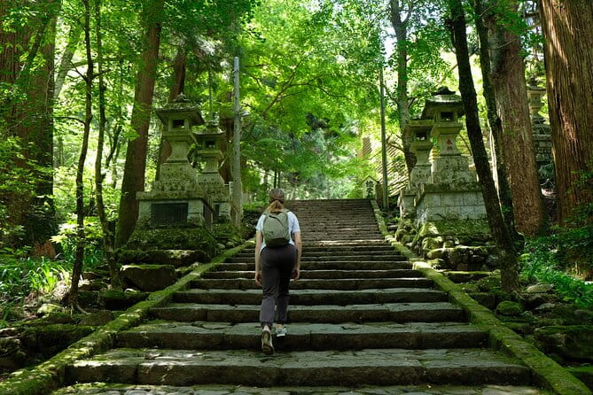 Forest Bathing in Temple and Enjoy Onsen With Healing Power - Uncovering the Historical Significance